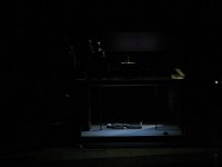 IMG 0882
