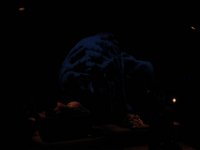 IMG 7417