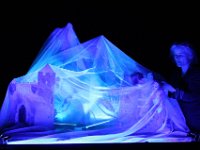 IMG 7486