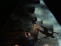 IMG 0986