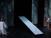 IMG 4528