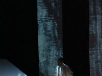 IMG 4531