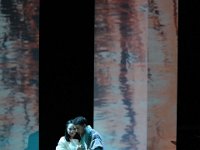 IMG 4548