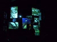 P1030706