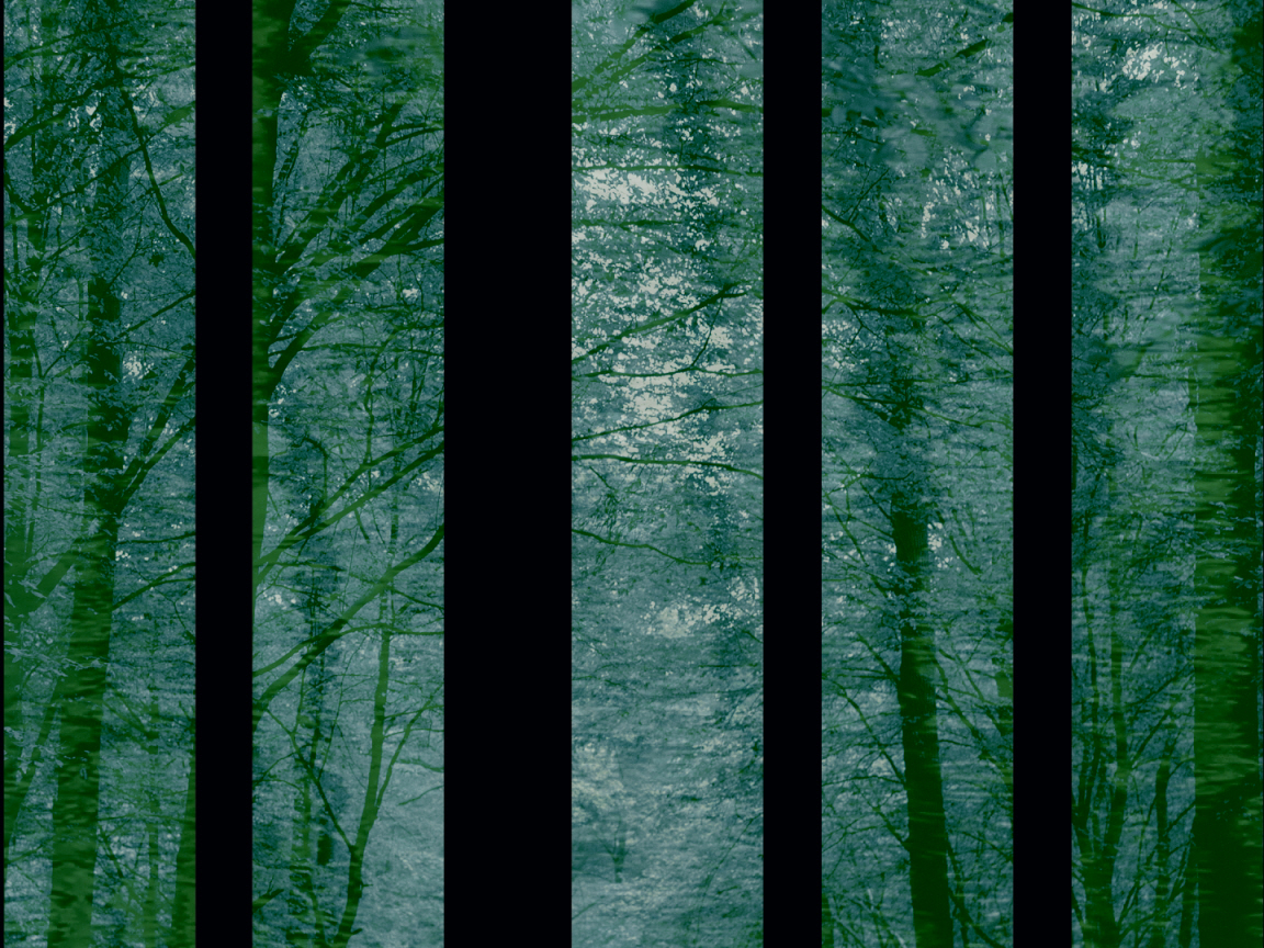 PetM_Still0401_00027