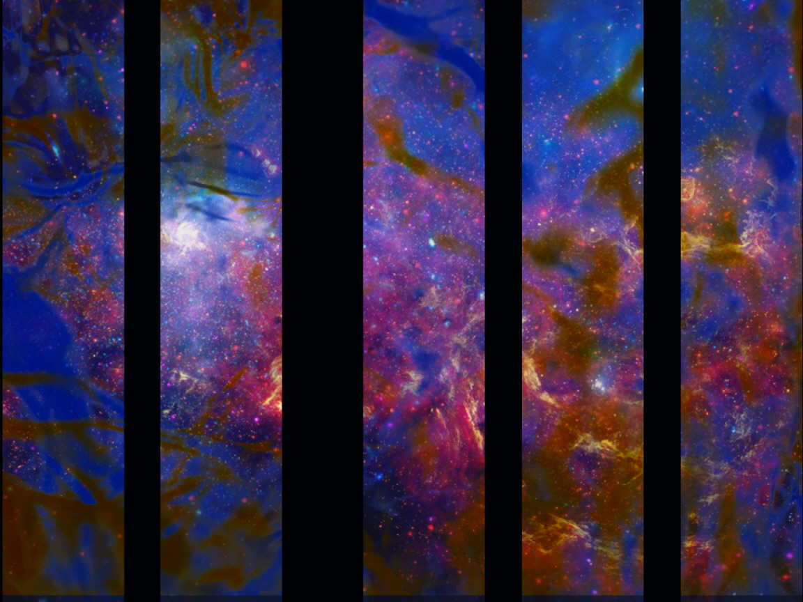 PetM_Still0401_00042