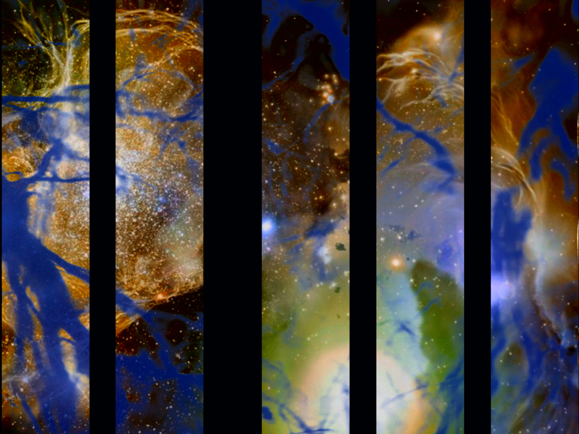 PetM_Still0401_00044