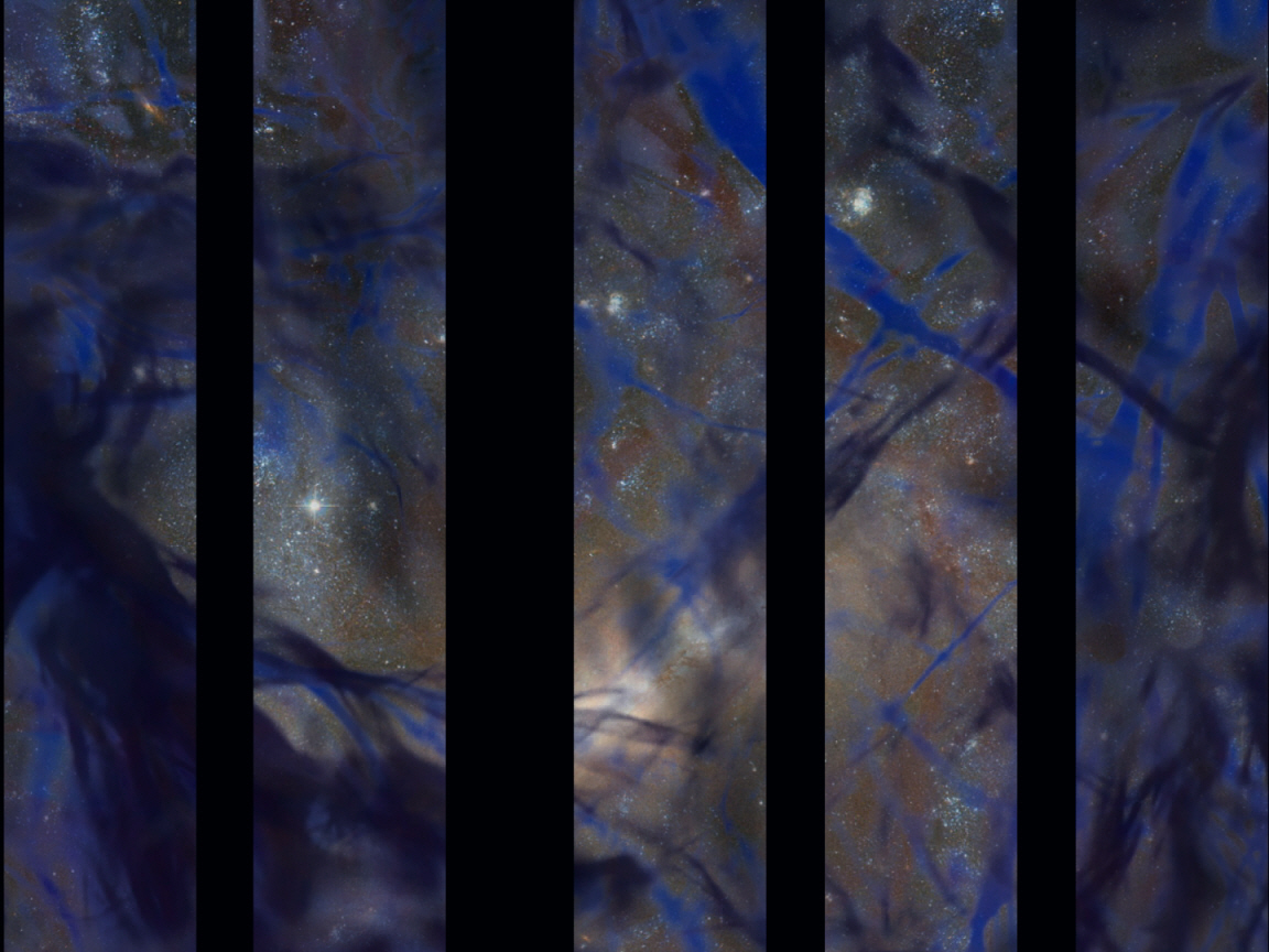 PetM_Still0401_00045